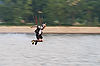 Red Bull Skydivers