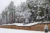 Snow at Mom's House