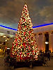 Caesars Palace
