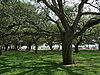 White Point Gardens
