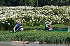 Kayakers in Spider Lilies at Landsford Canal State Park