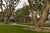 Seaport Village