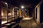 Bill Speidel's Underground Tour