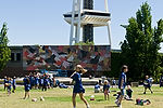 Lawn at Mural Amphitheatre