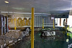 Seattle Aquarium