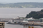 Holland America ms Amsterdam