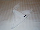 Towel Ray