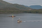 Arriving at Ketchikan