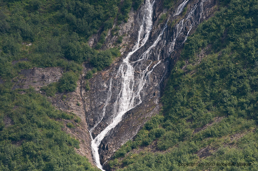 IMG_44.jpg