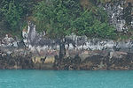 Leaving Tracy Arm