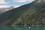 Cruising Tracy Arm