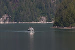 Cruising Tracy Arm