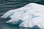 Cruising Tracy Arm