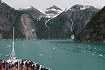 Cruising Tracy Arm