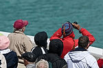 Cruising Tracy Arm