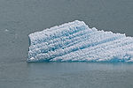 Cruising Tracy Arm