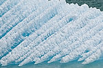 Cruising Tracy Arm