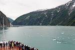 Cruising Tracy Arm