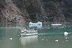 Cruising Tracy Arm