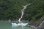 Cruising Tracy Arm