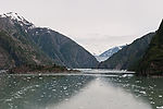 Cruising Tracy Arm