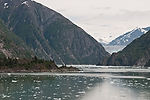 Cruising Tracy Arm