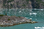 Cruising Tracy Arm