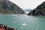 Cruising Tracy Arm