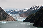 Cruising Tracy Arm