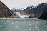 Cruising Tracy Arm