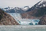 Cruising Tracy Arm