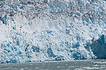Cruising Tracy Arm