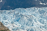 Cruising Tracy Arm