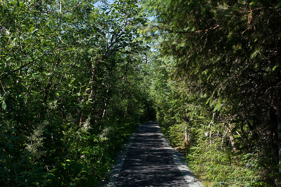IMG_2.jpg