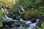 Trail to Mendenhall Glacier