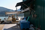 Juneau