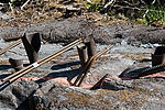 Trail to Mendenhall Glacier