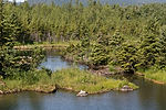 Beaver Dam