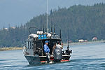 Humpback Whale Watching