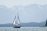 Sailboat