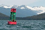 Sea Lions