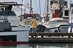 Auke Bay