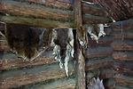 Inside Athabascan Lodge
