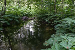 Yup'ik & Cup'ik Area