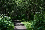 Eagle River Nature Center