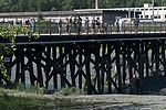 Salmon Fishing at Ship Creek