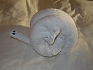 Towel Snail