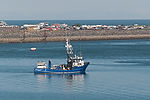 Arriving at Homer