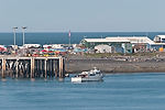 Arriving at Homer