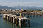 Arriving at Homer